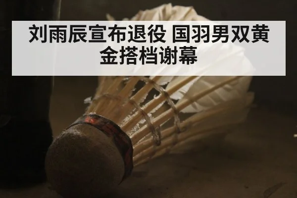 刘雨辰宣布退役 国羽男双黄金搭档谢幕